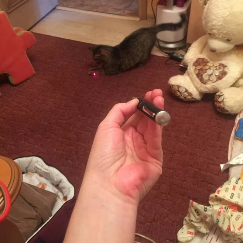 Red Laser Pointer Pen for Cats