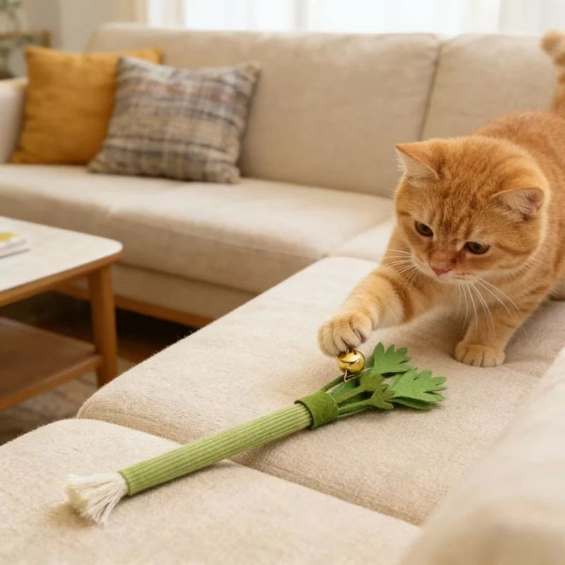 Catnip Carrot Chew Toy