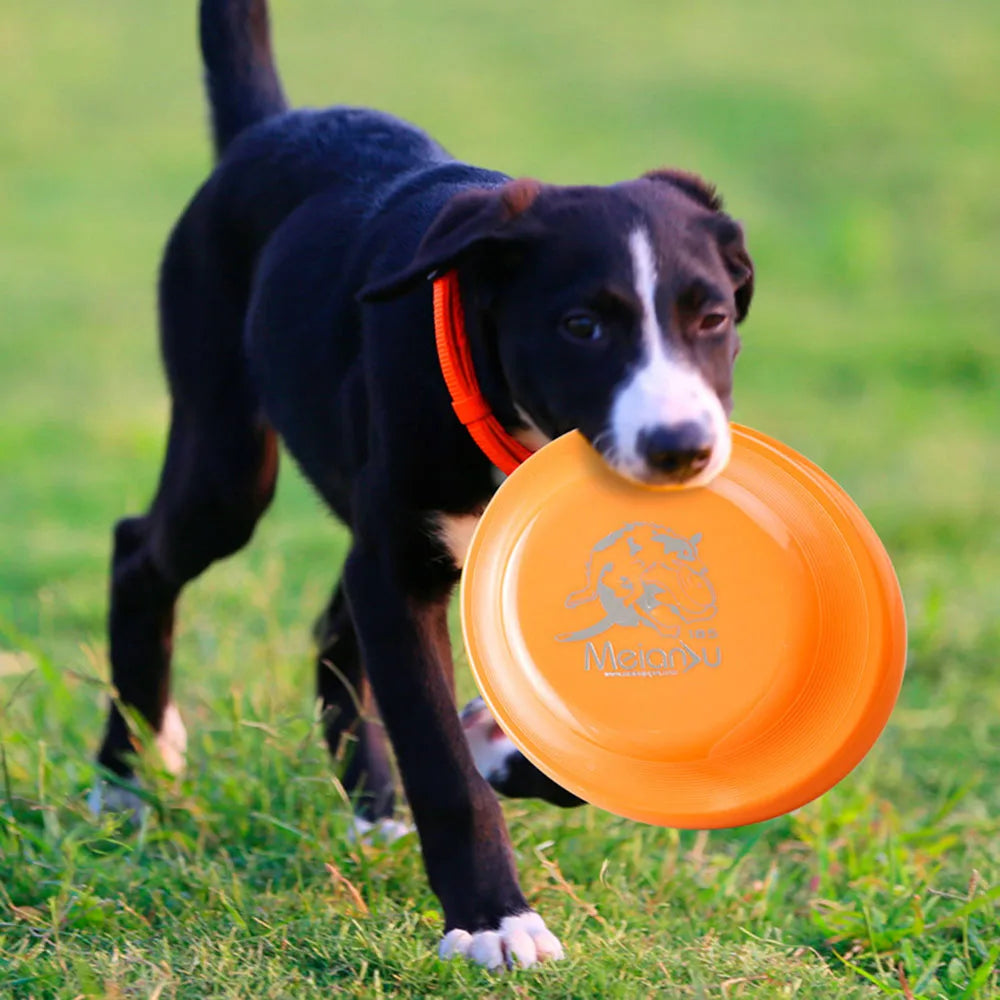 Durable Dog Training Disc