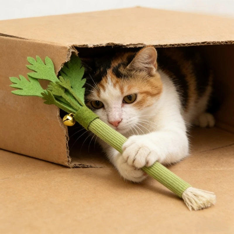 Catnip Carrot Chew Toy