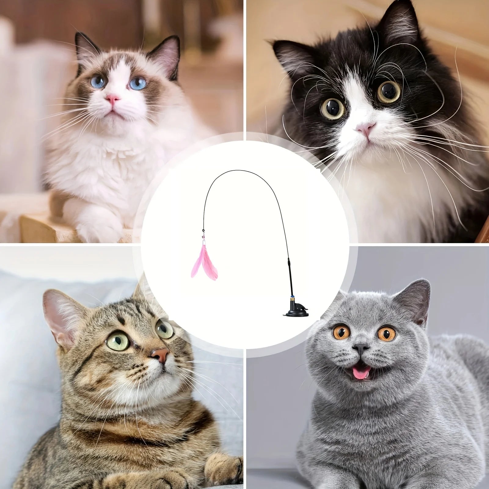 Interactive Cat Teaser Toy with Suction Cup