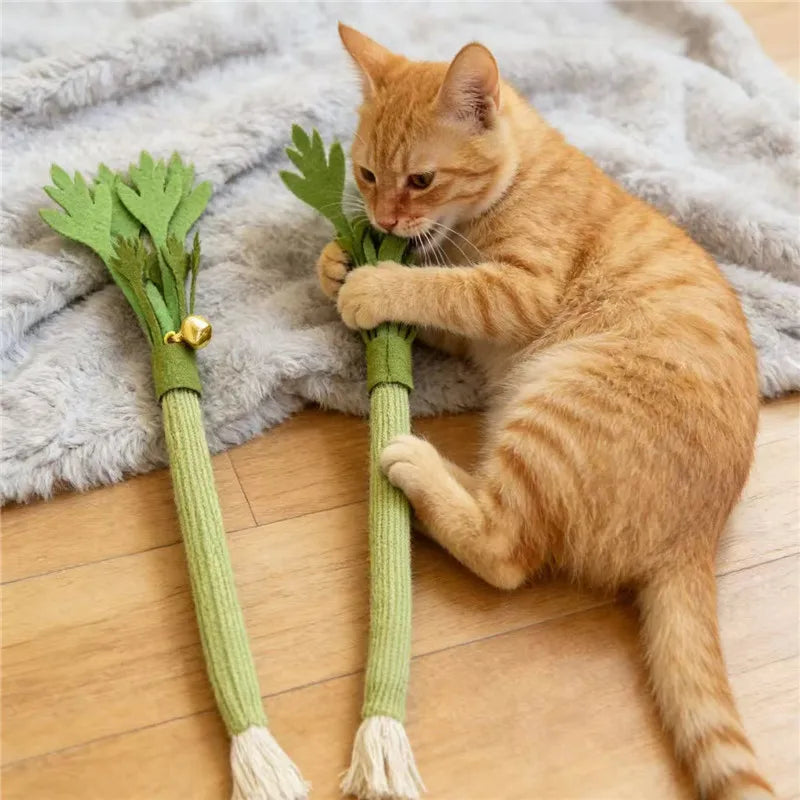 Catnip Carrot Chew Toy