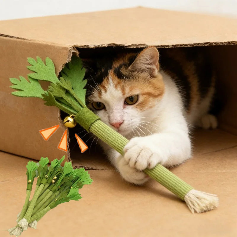 Catnip Carrot Chew Toy