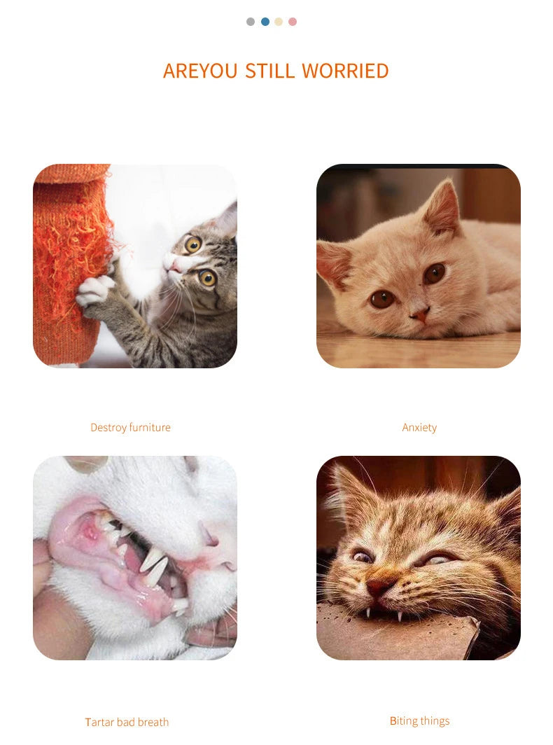 Carrot Cat Chew Toy