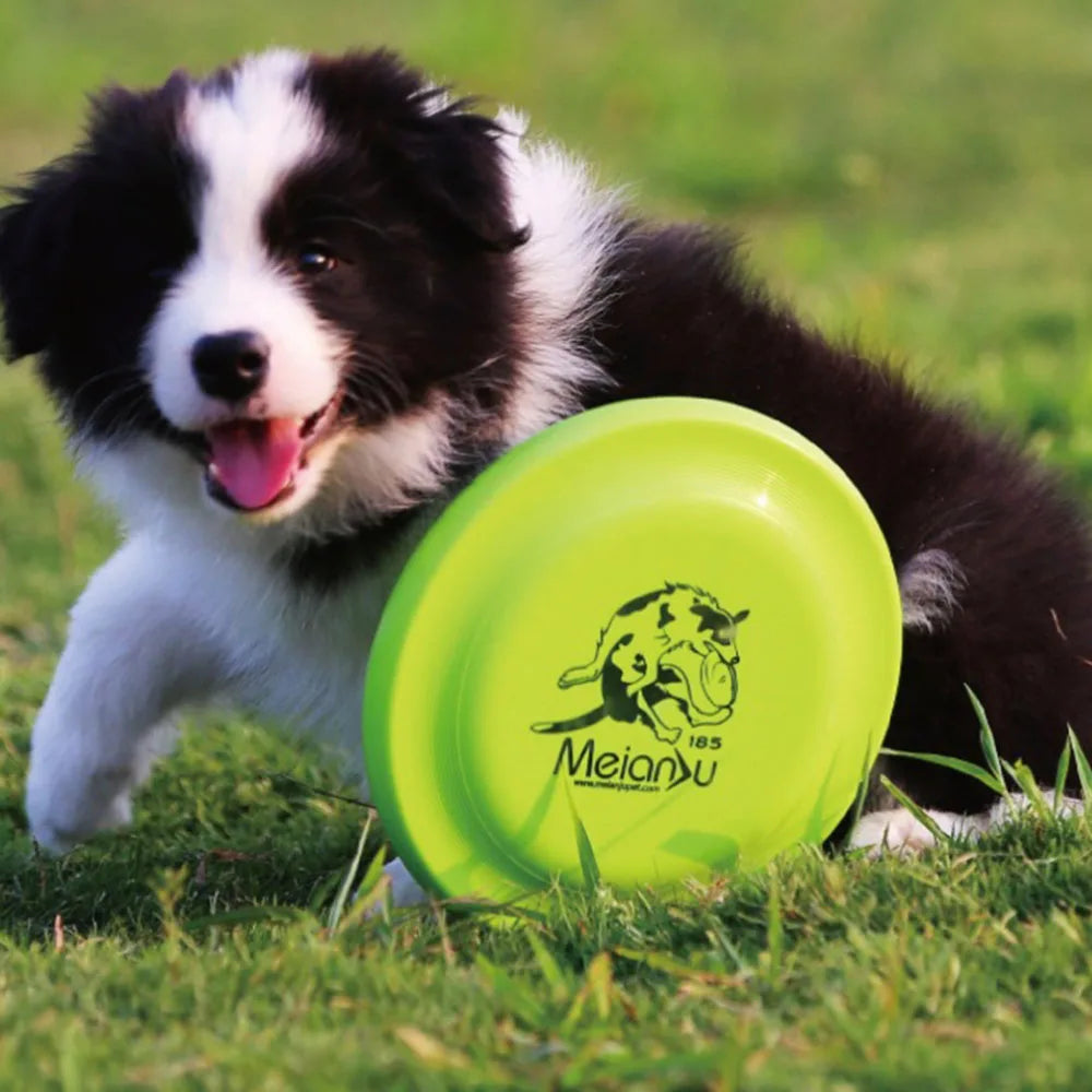 Durable Dog Training Disc