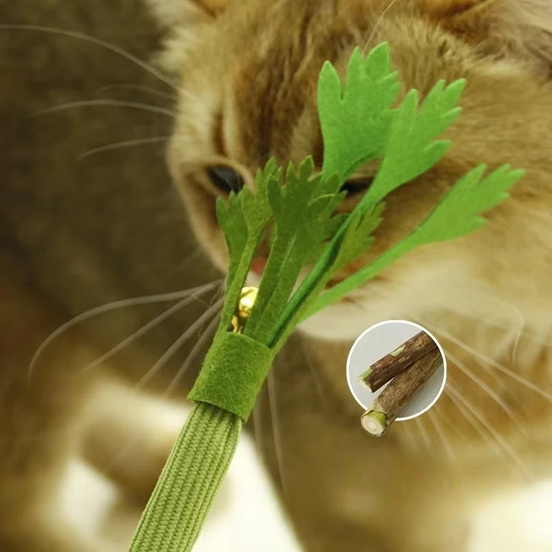 Catnip Carrot Chew Toy