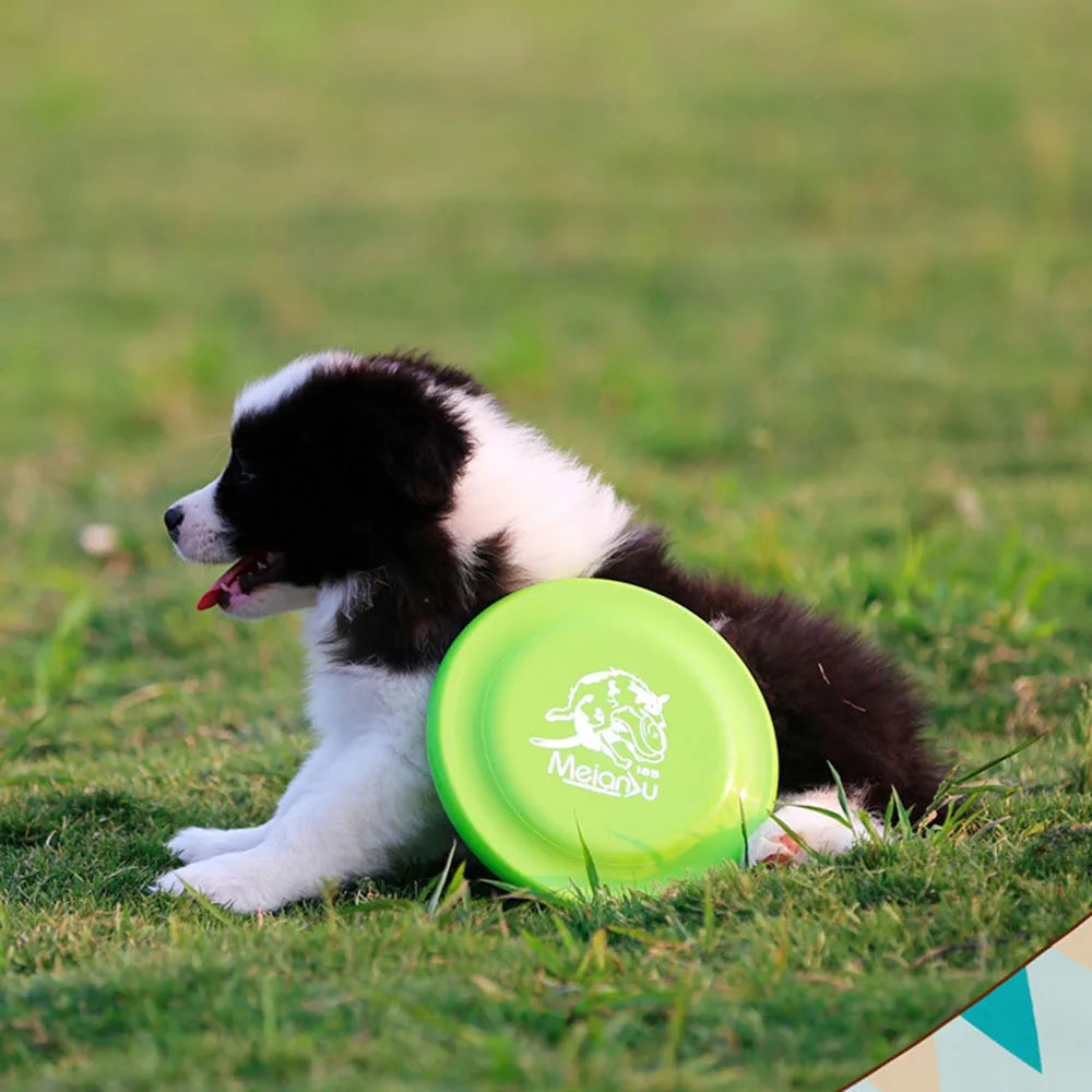 Durable Dog Training Disc