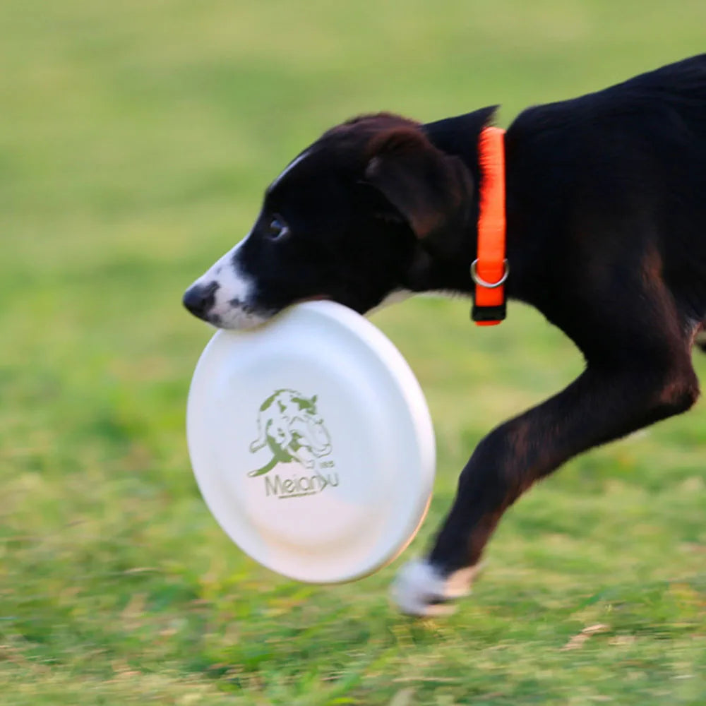 Durable Dog Training Disc